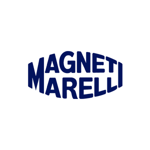 19-Magneti